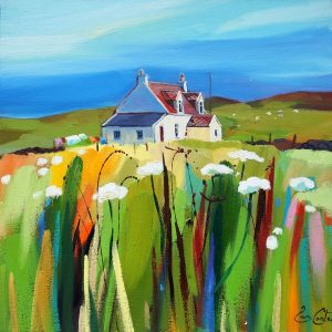 Diamond Slates & Machair